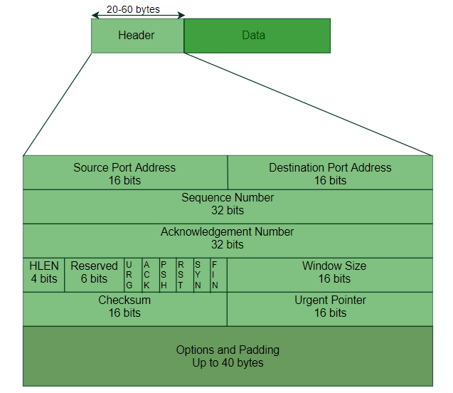 https://www.geeksforgeeks.org/services-and-segment-structure-in-tcp/